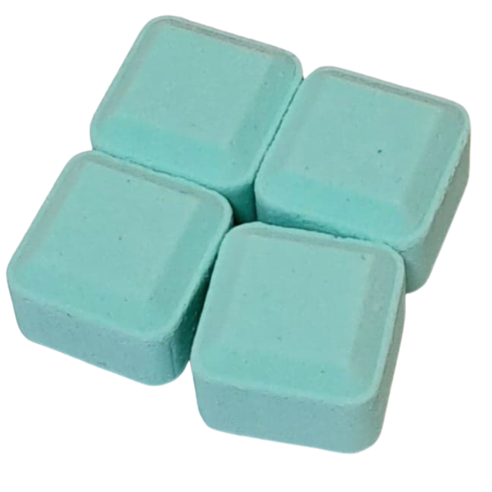 Eucalyptus & Peppermint Shower Steamers - Twin Pack